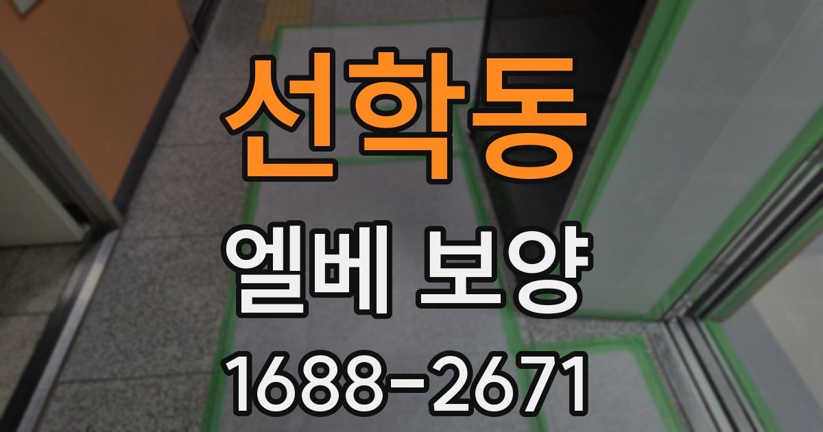 선학동 엘베 보양