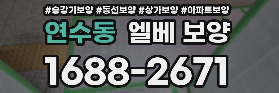 연수동 엘베 보양