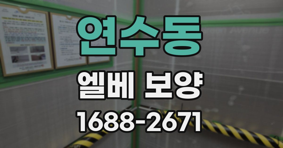 연수동 엘베 보양