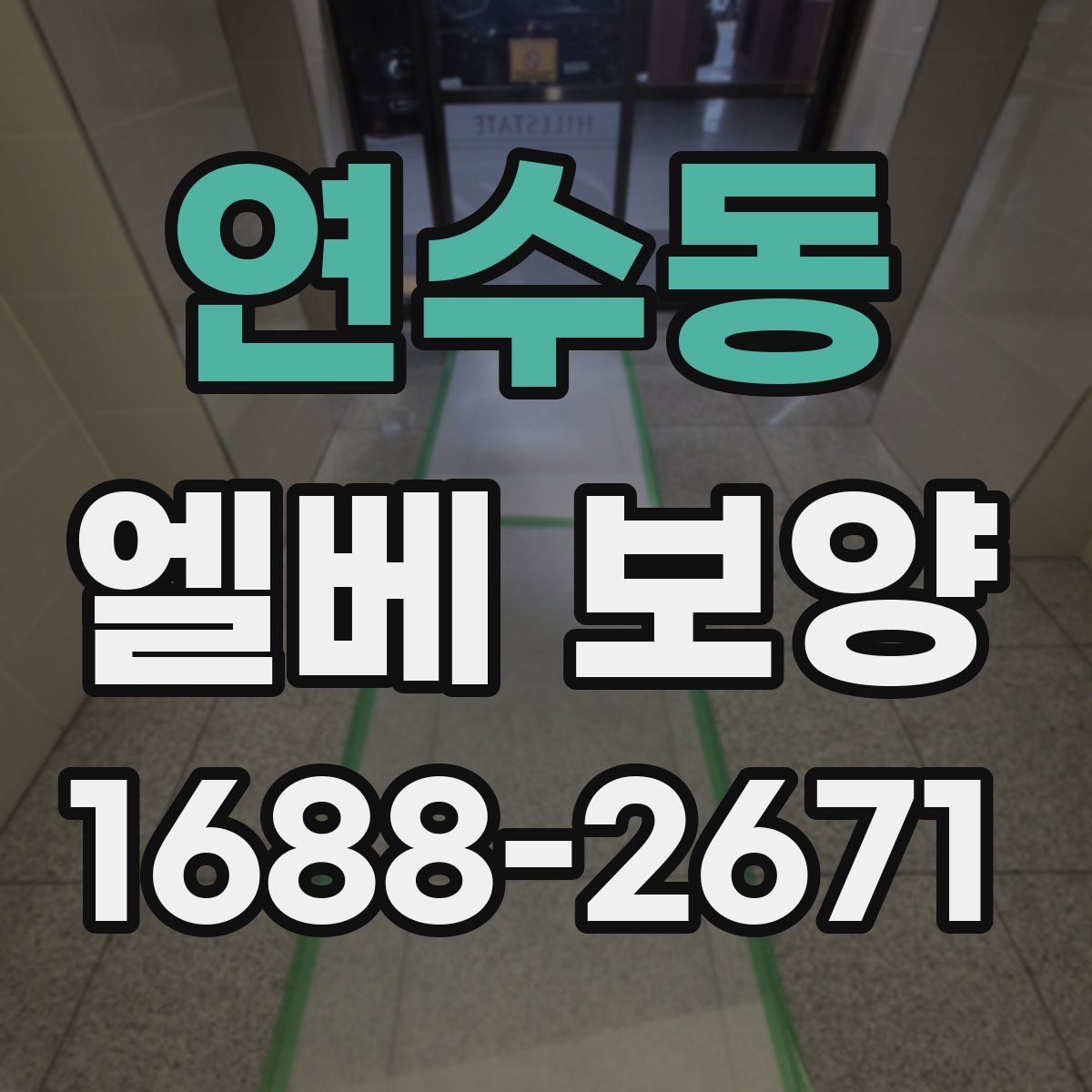 연수동 엘베 보양