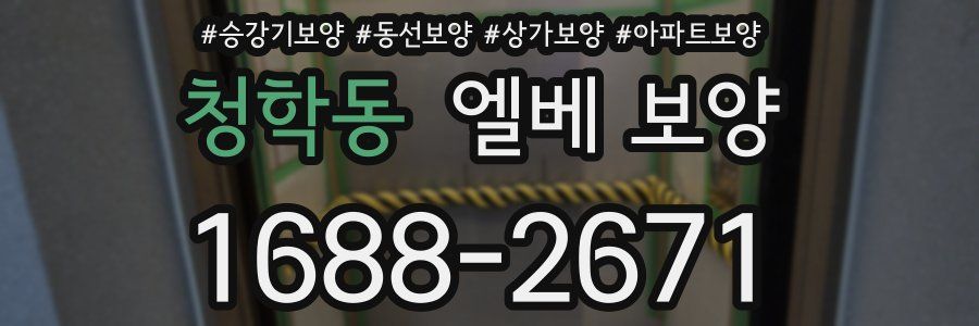 청학동 엘베 보양