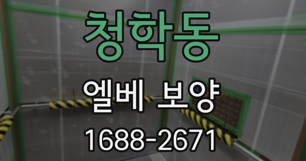 청학동 엘베 보양