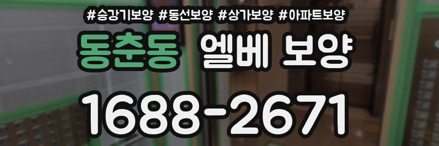 동춘동 엘베 보양