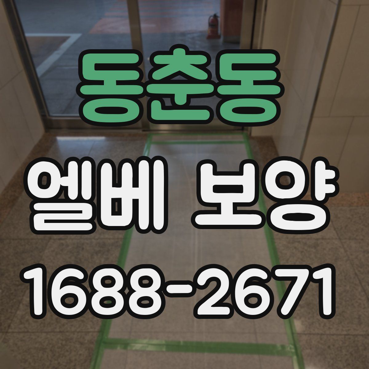 동춘동 엘베 보양