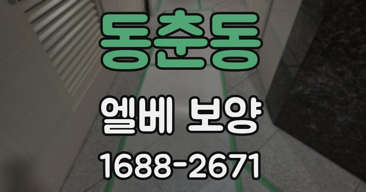 동춘동 엘베 보양
