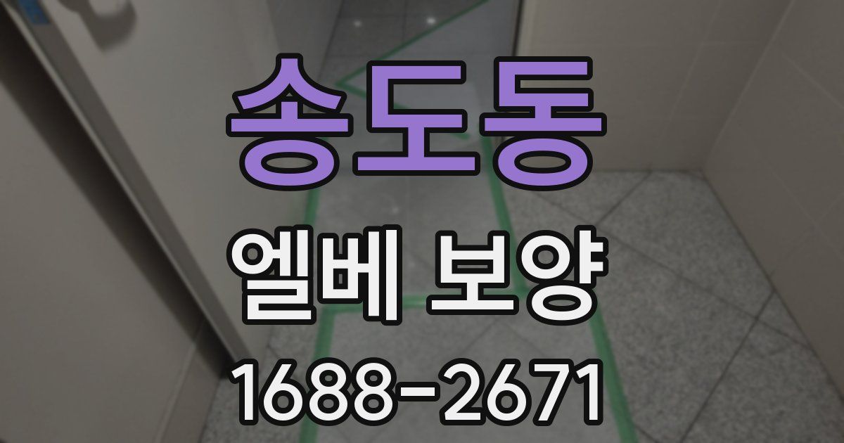 송도동 엘베 보양