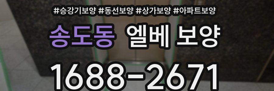 송도동 엘베 보양