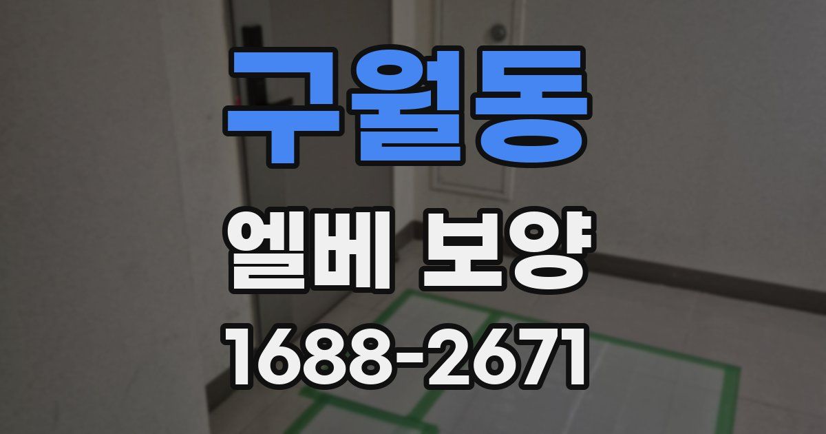 구월동 엘베 보양