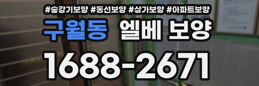 구월동 엘베 보양