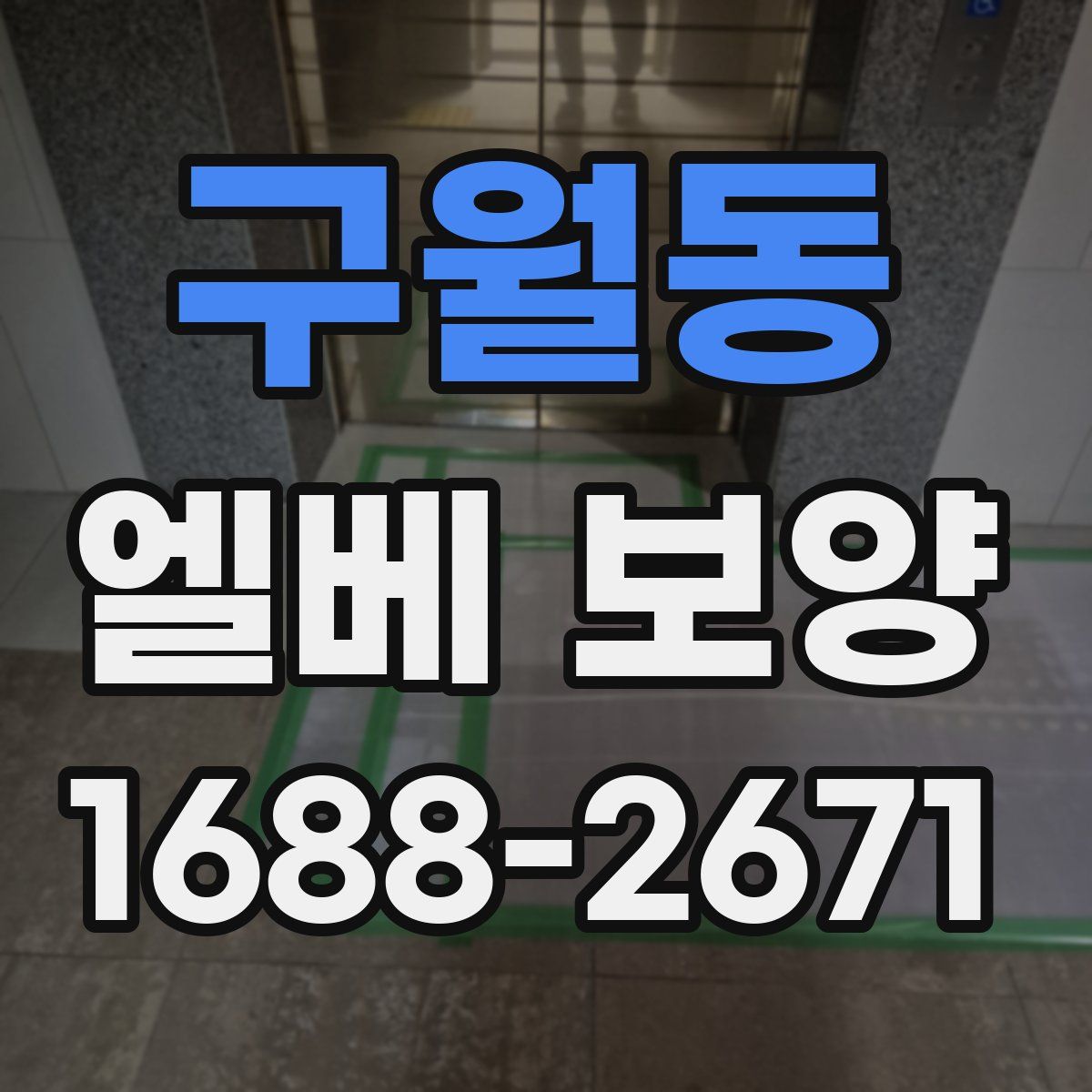 구월동 엘베 보양
