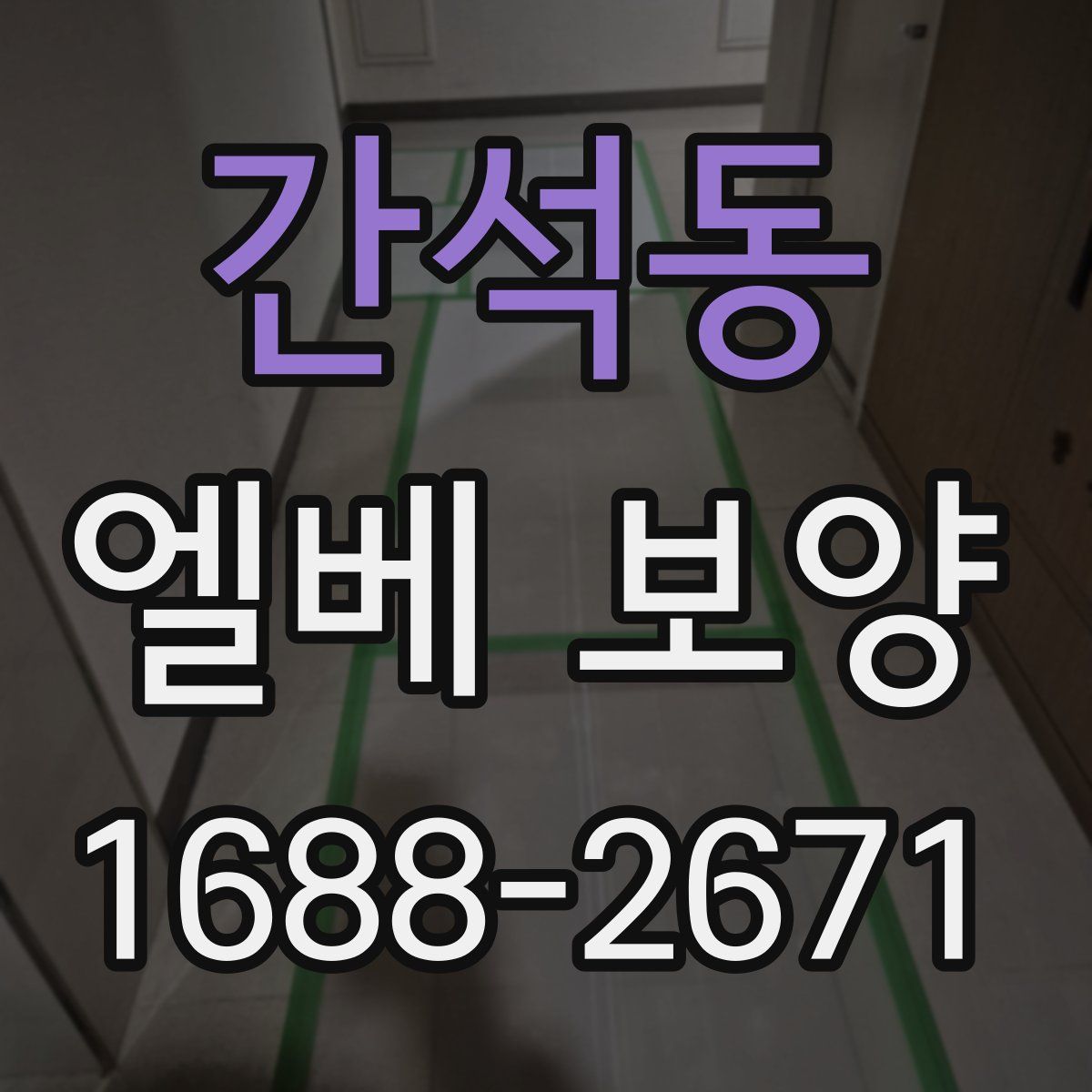 간석동 엘베 보양