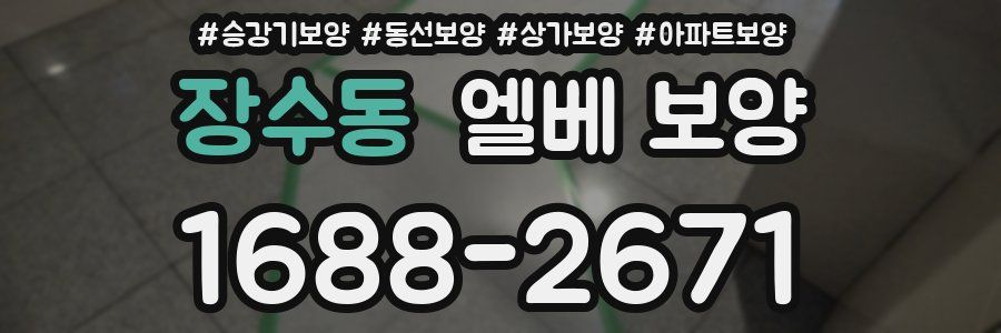 장수동 엘베 보양