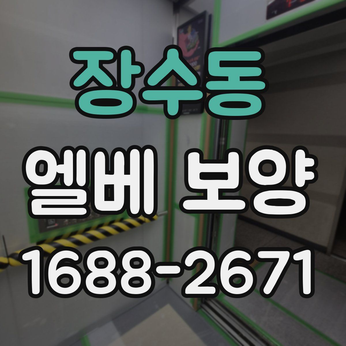 장수동 엘베 보양