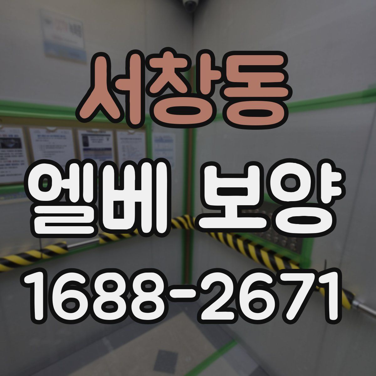 서창동 엘베 보양