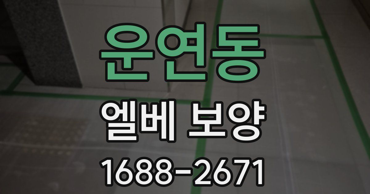 운연동 엘베 보양