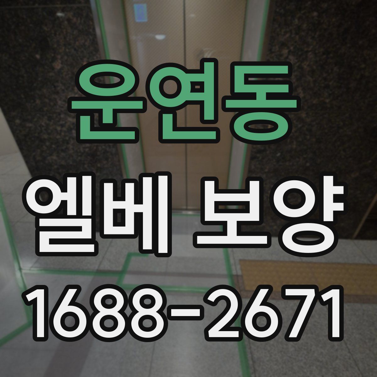 운연동 엘베 보양