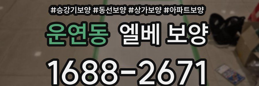 운연동 엘베 보양