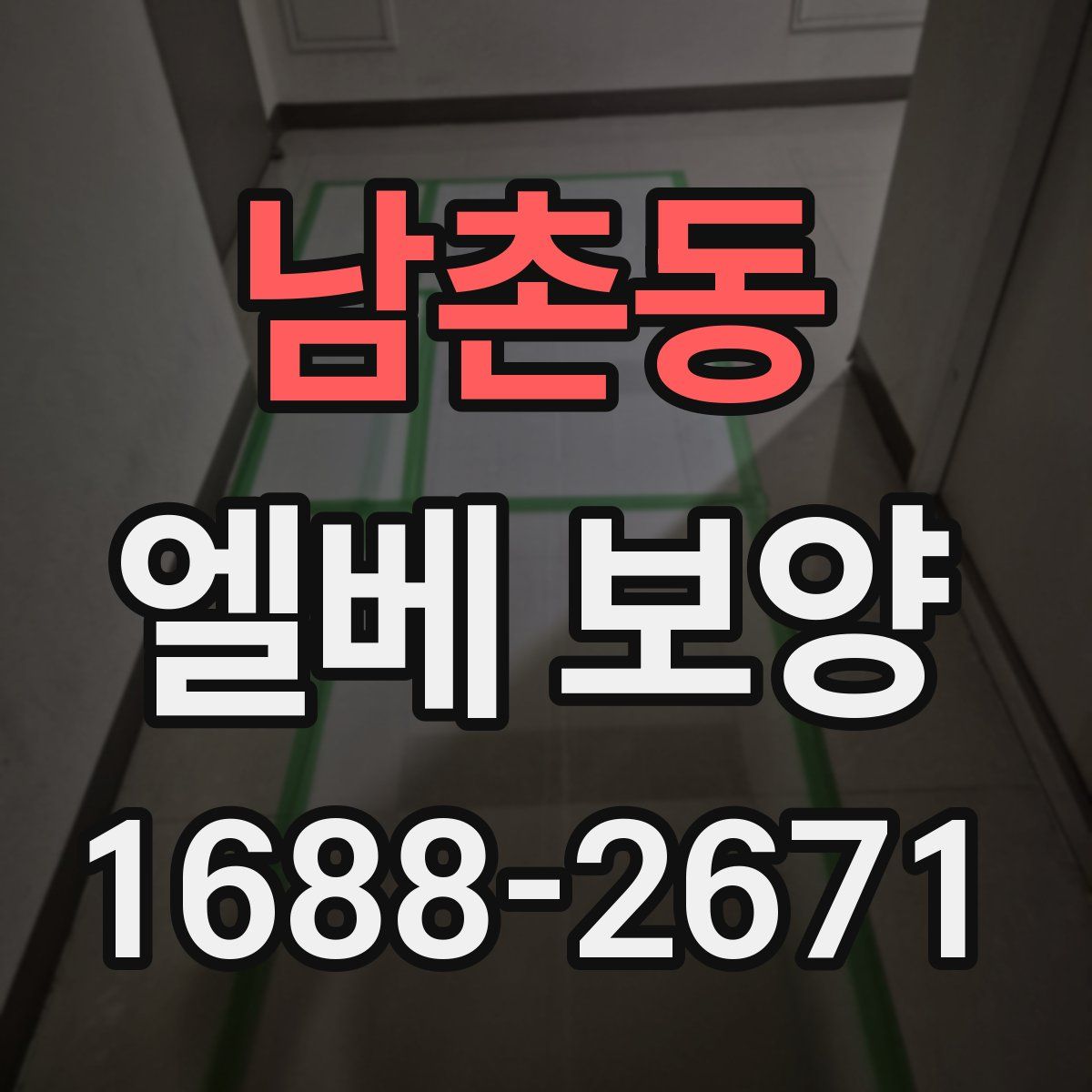 남촌동 엘베 보양
