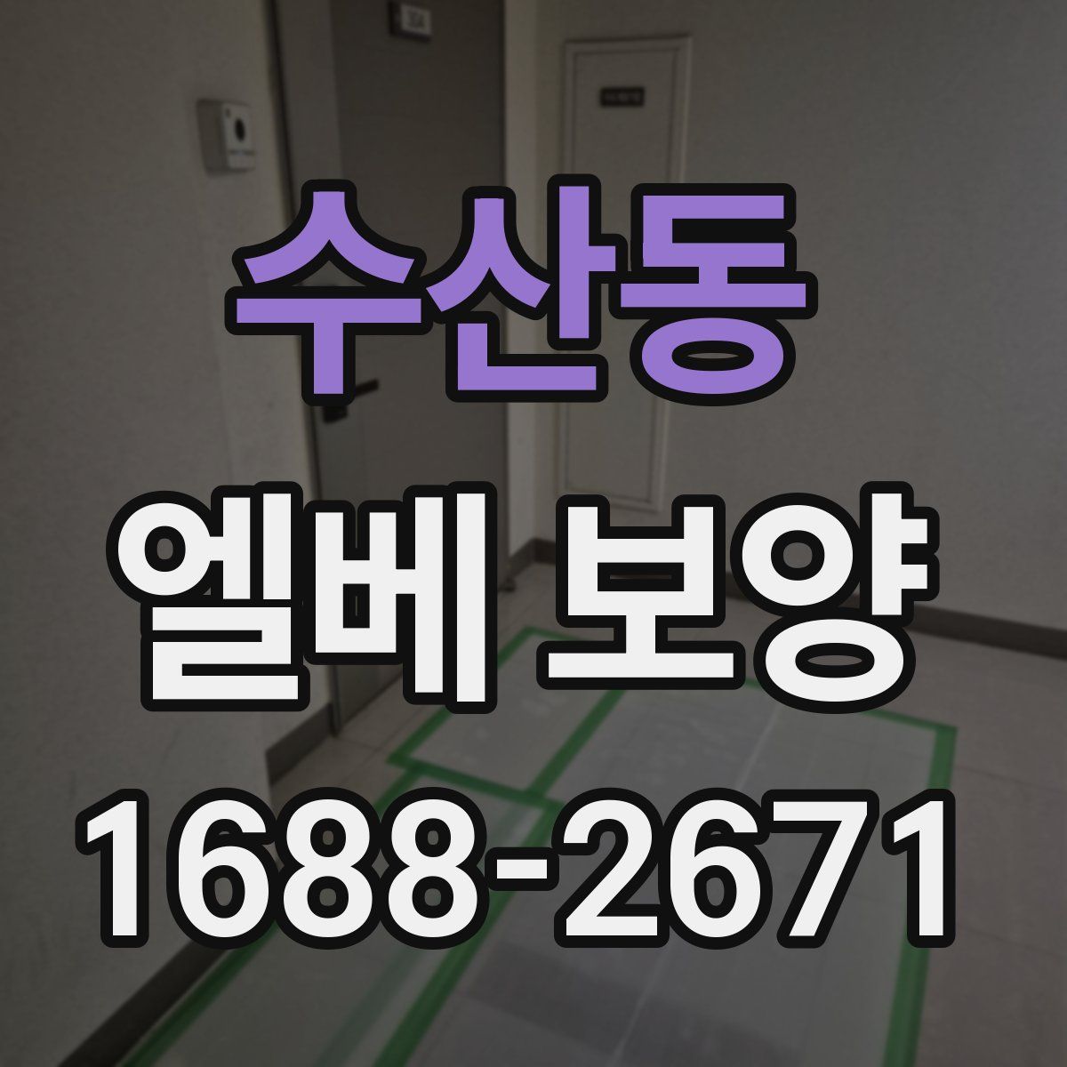 수산동 엘베 보양