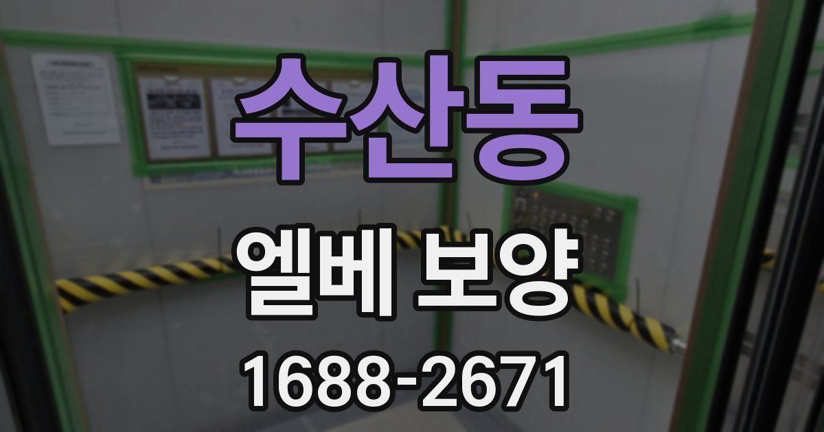 수산동 엘베 보양