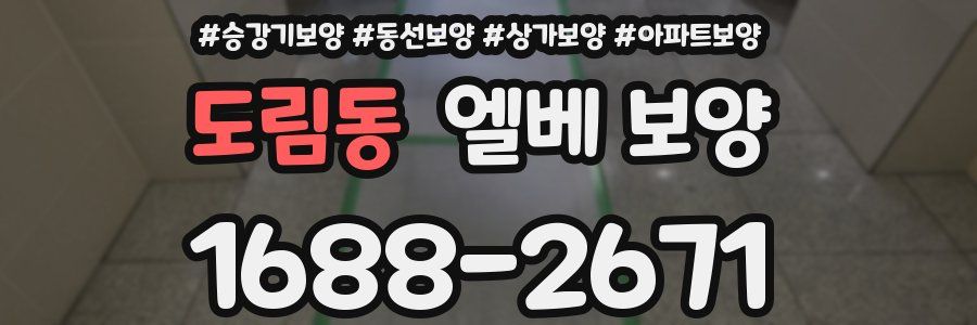 도림동 엘베 보양