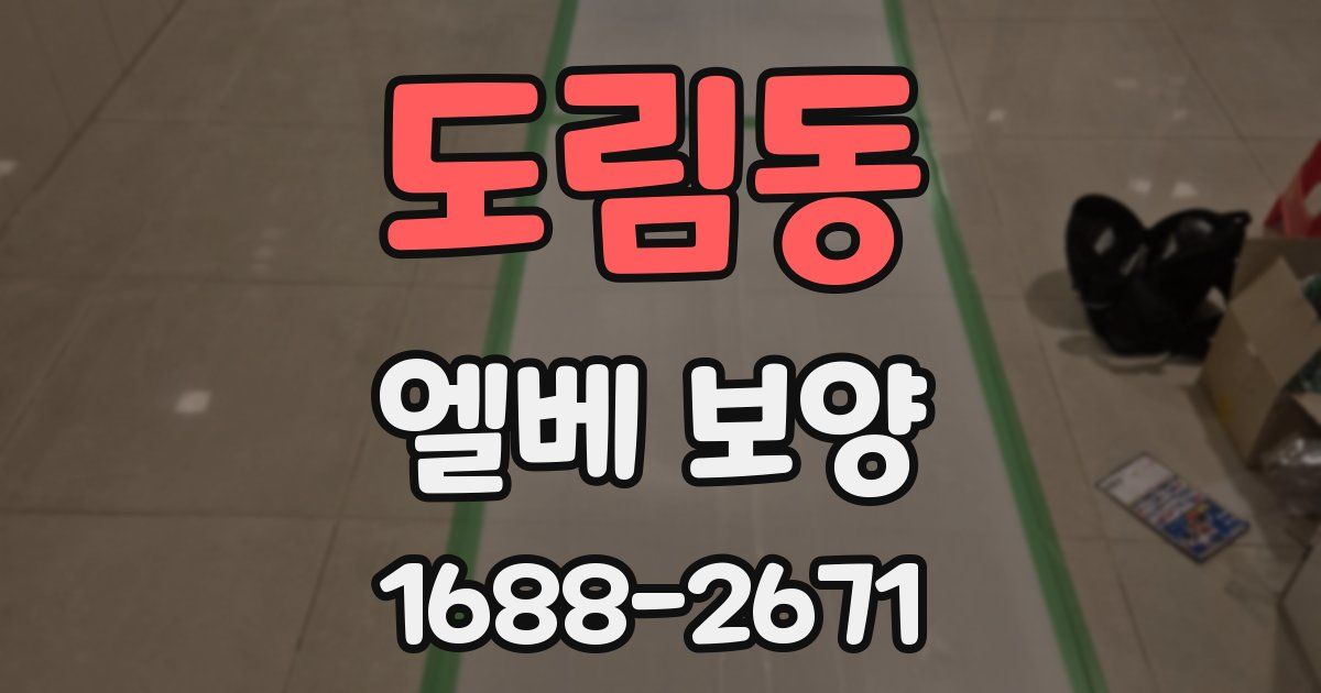 도림동 엘베 보양