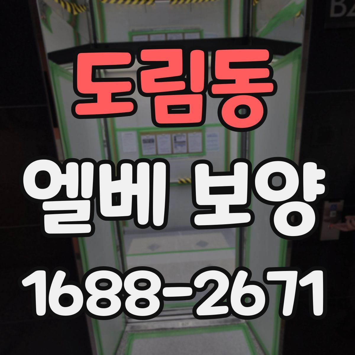 도림동 엘베 보양