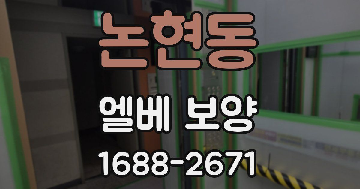 논현동 엘베 보양