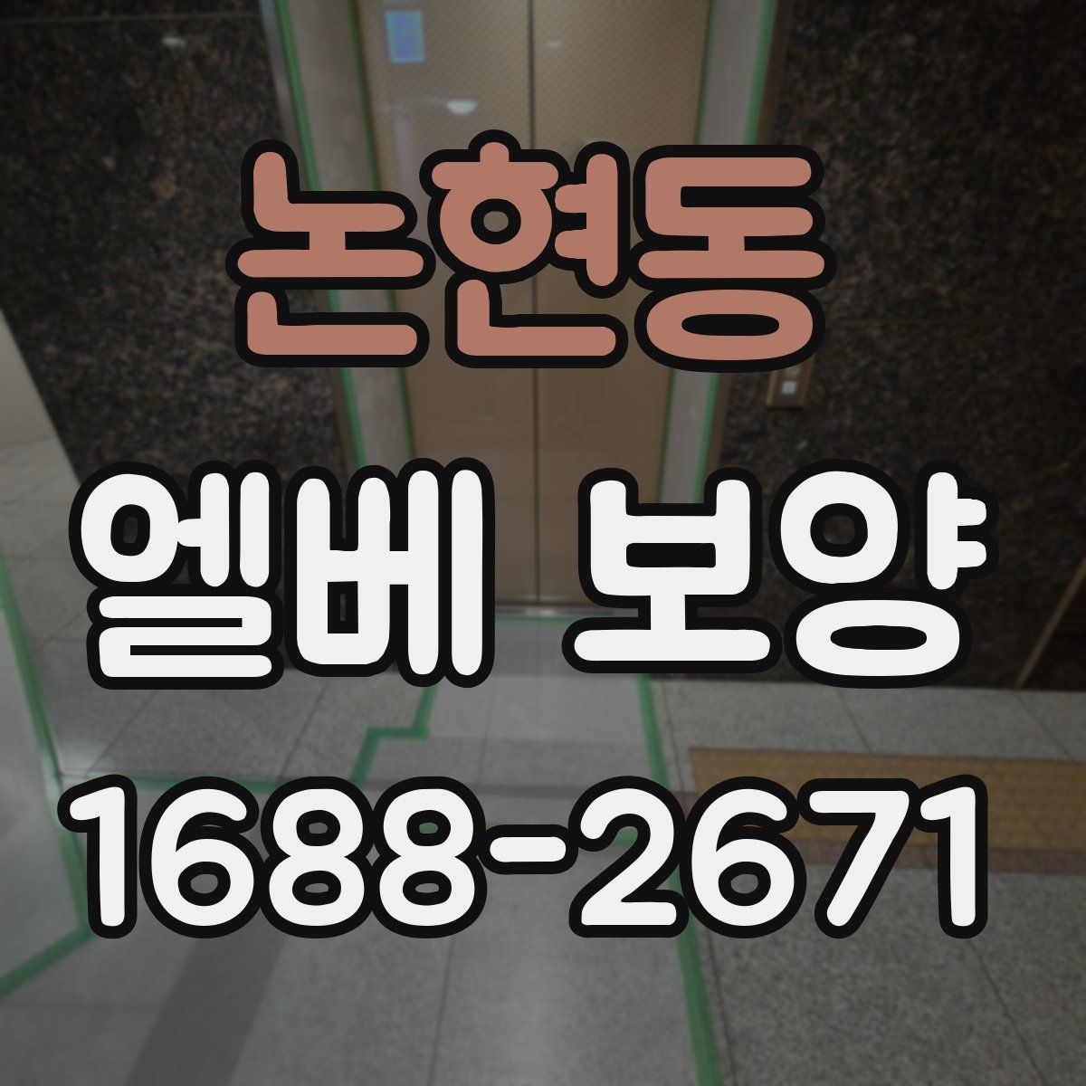 논현동 엘베 보양