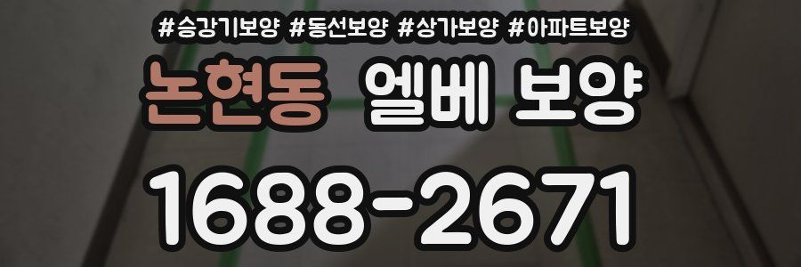 논현동 엘베 보양