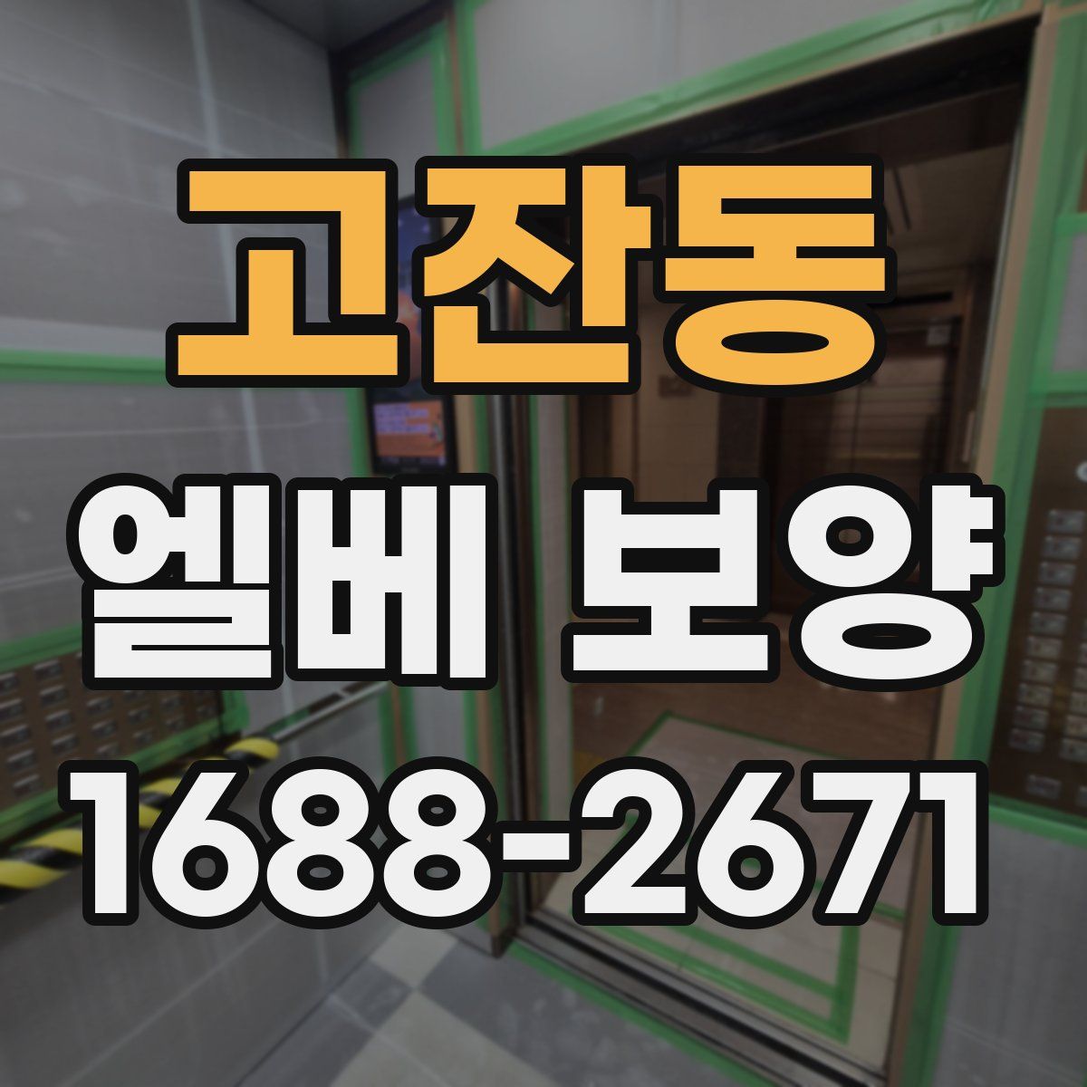 고잔동 엘베 보양