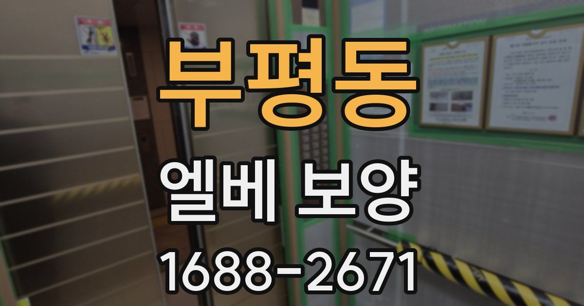 부평동 엘베 보양