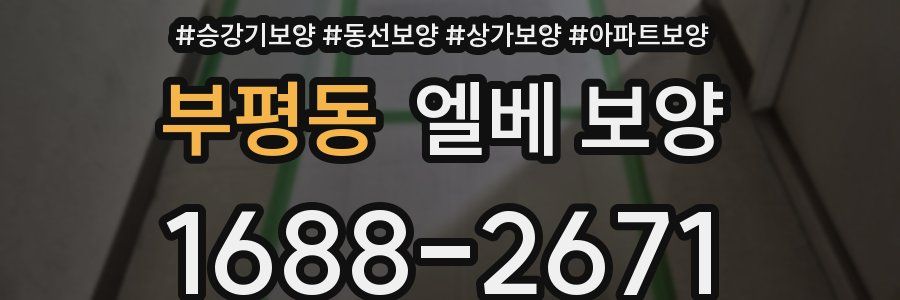 부평동 엘베 보양