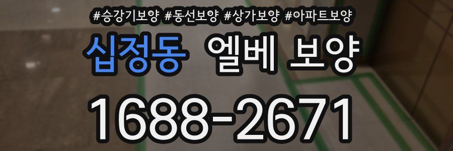 십정동 엘베 보양