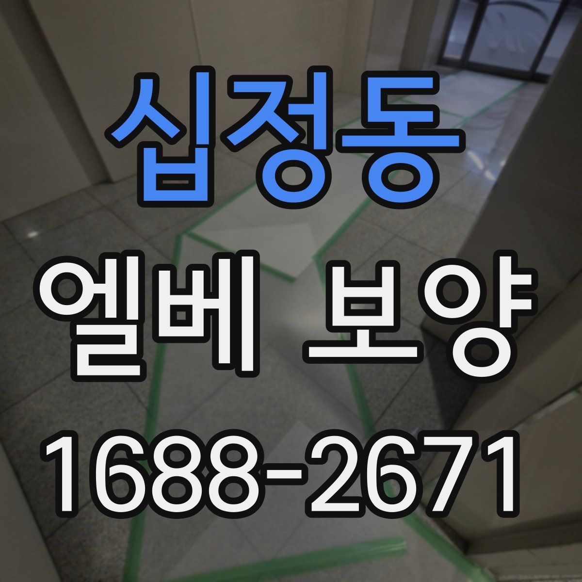 십정동 엘베 보양
