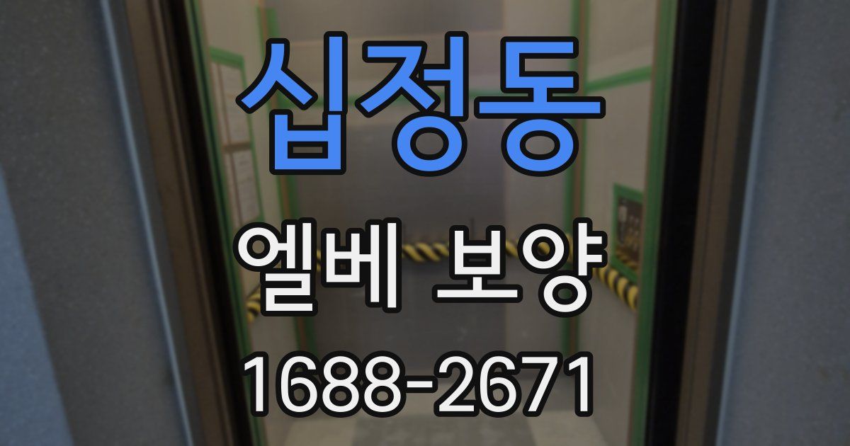 십정동 엘베 보양