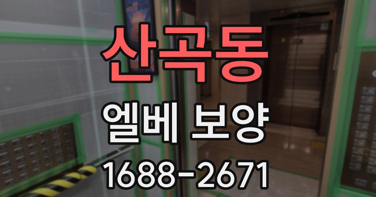 산곡동 엘베 보양