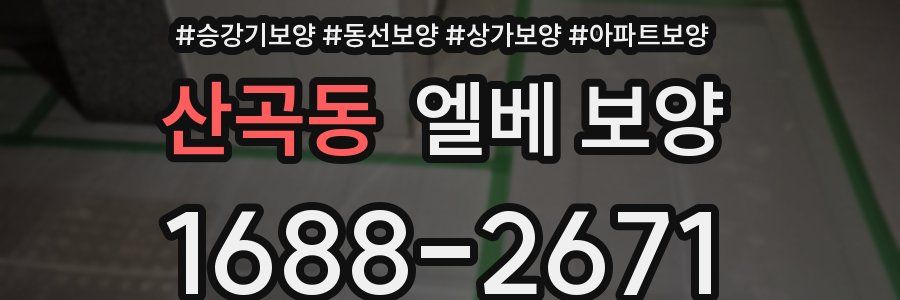 산곡동 엘베 보양