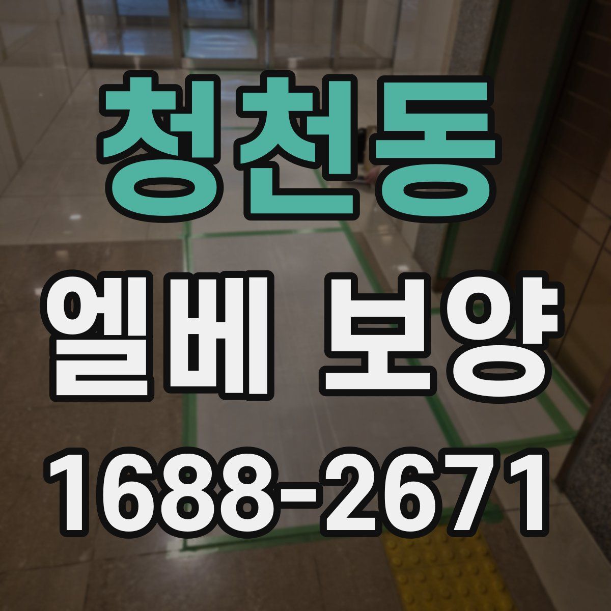 청천동 엘베 보양