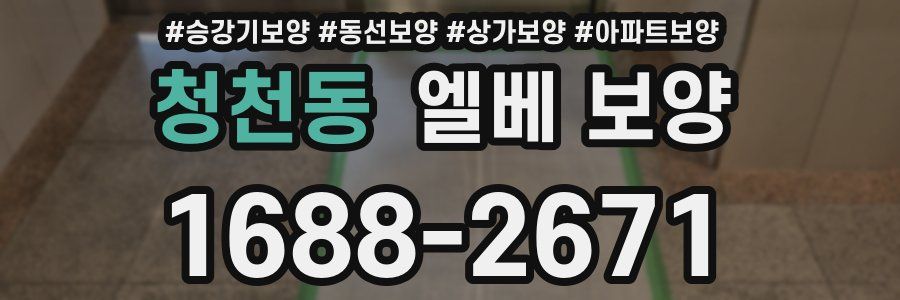 청천동 엘베 보양