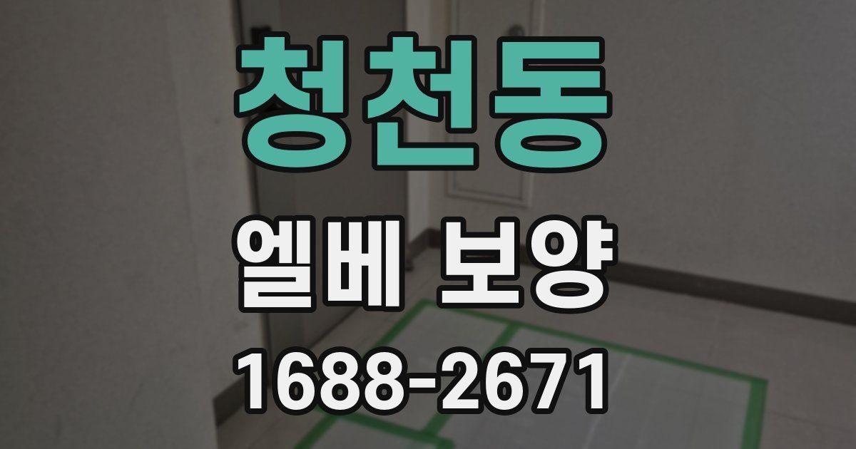 청천동 엘베 보양