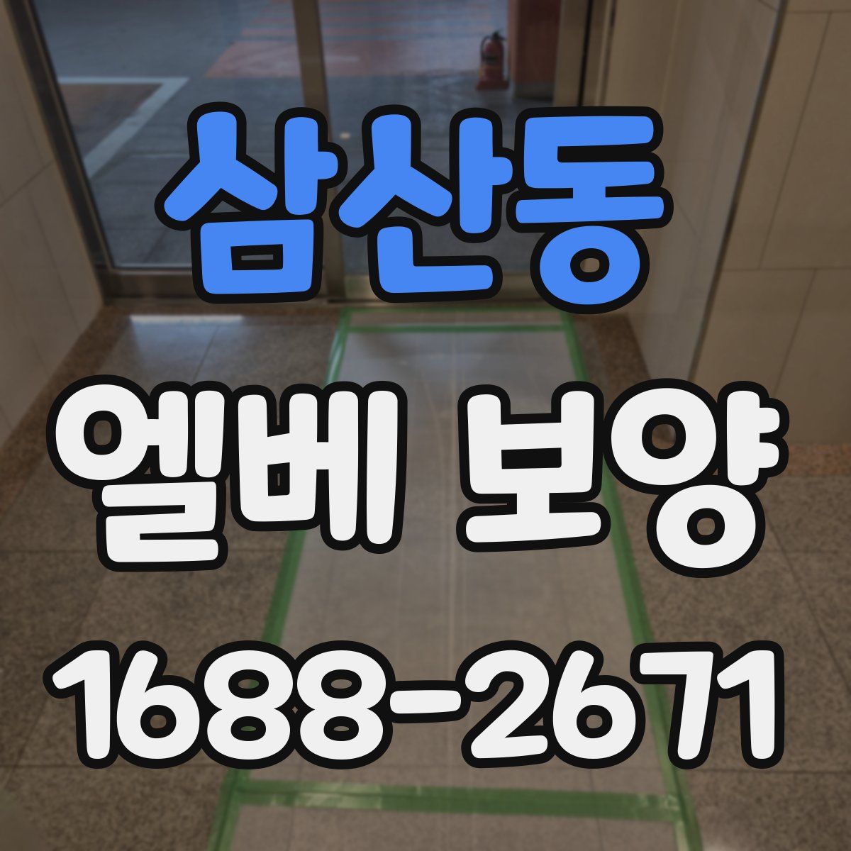 삼산동 엘베 보양