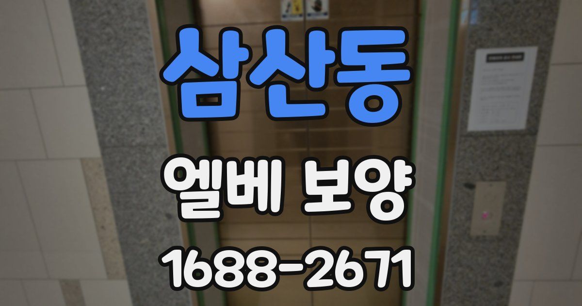 삼산동 엘베 보양
