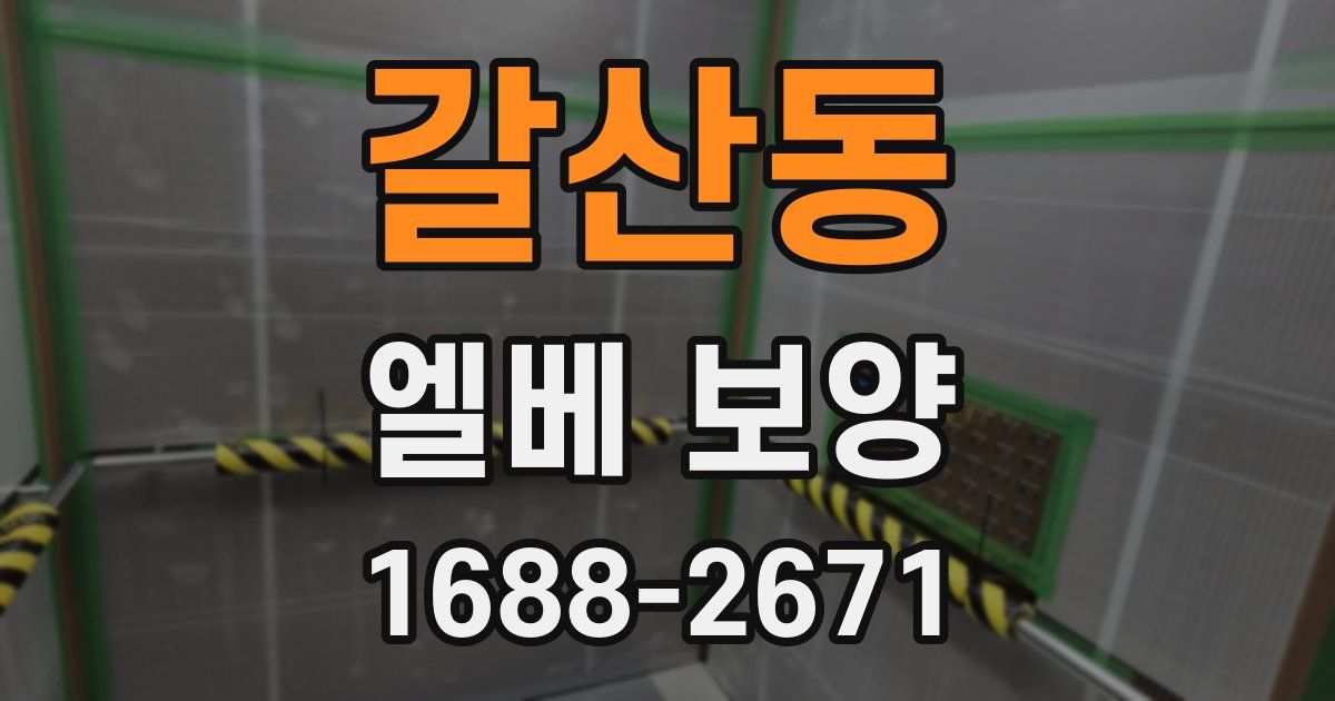 갈산동 엘베 보양