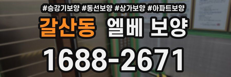 갈산동 엘베 보양