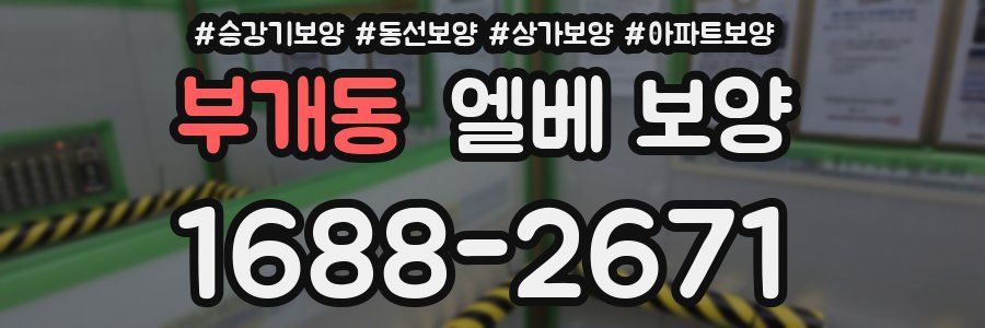 부개동 엘베 보양