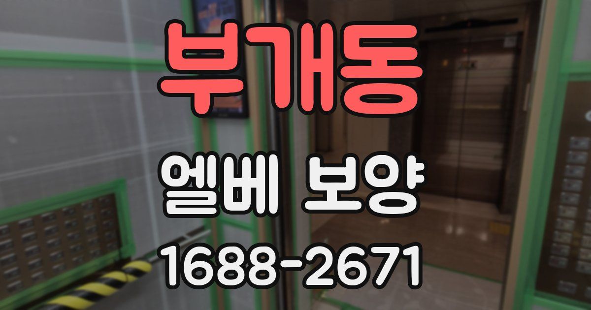 부개동 엘베 보양