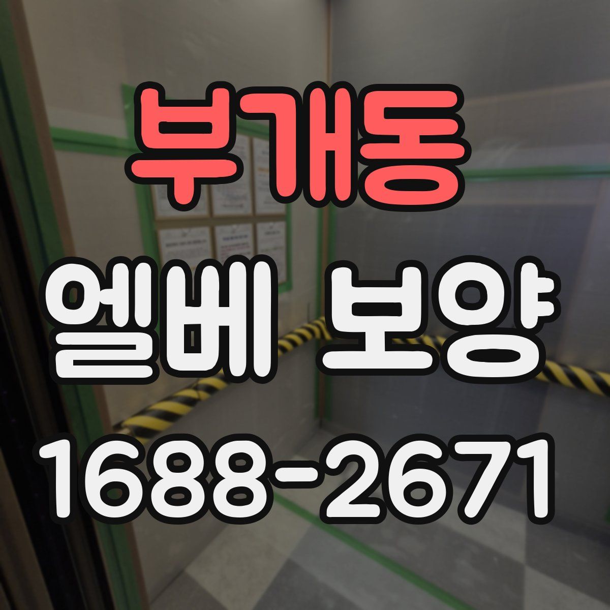 부개동 엘베 보양