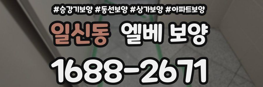 일신동 엘베 보양