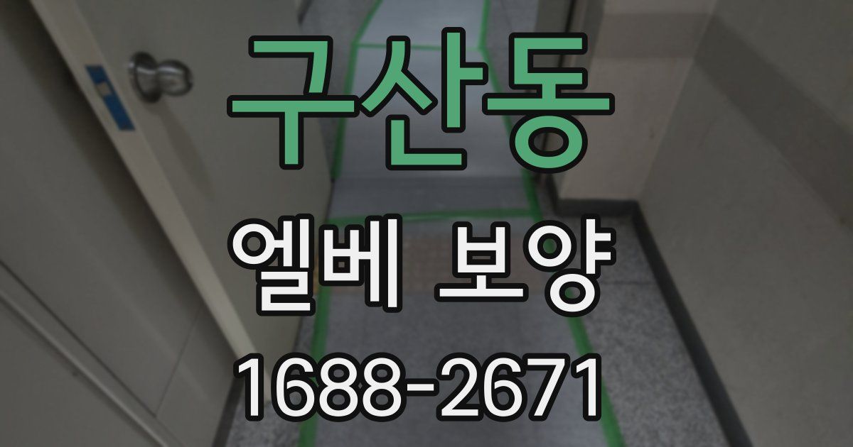 구산동 엘베 보양
